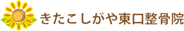 きたこしがや東口整骨院